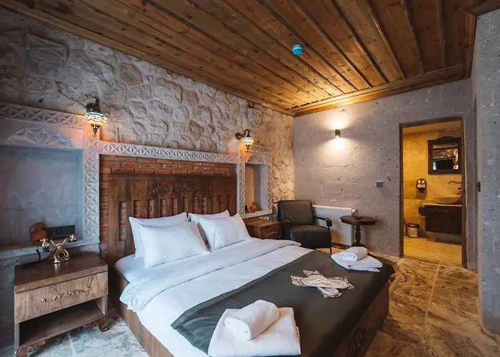 Hotel Alin Stone House *